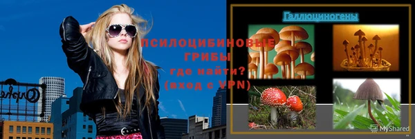 метадон Пестово