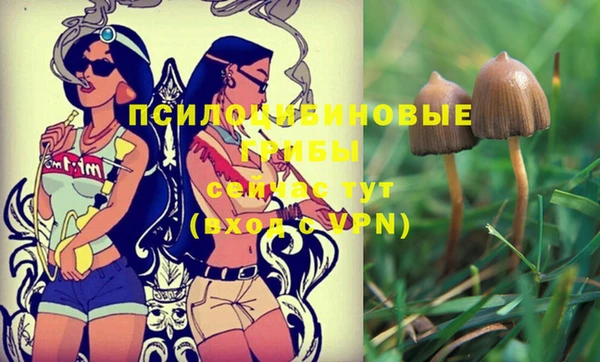 метадон Пестово